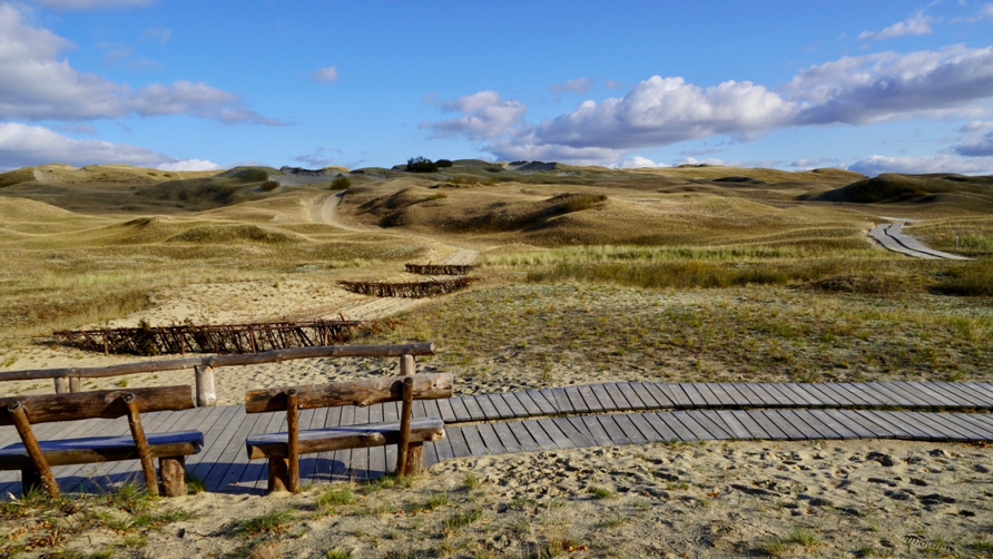 Charming solitude on the Curonian Spit 