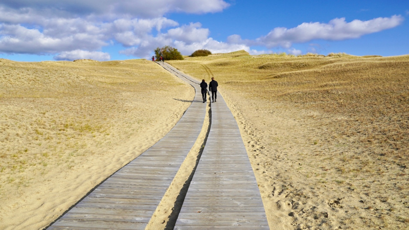 The endless dunes of the Curonian Spit